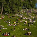 stockholm sommar 2025 folk i gräset