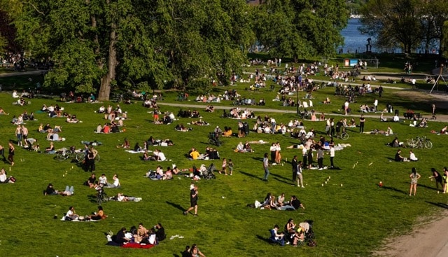 stockholm sommar 2025 folk i gräset